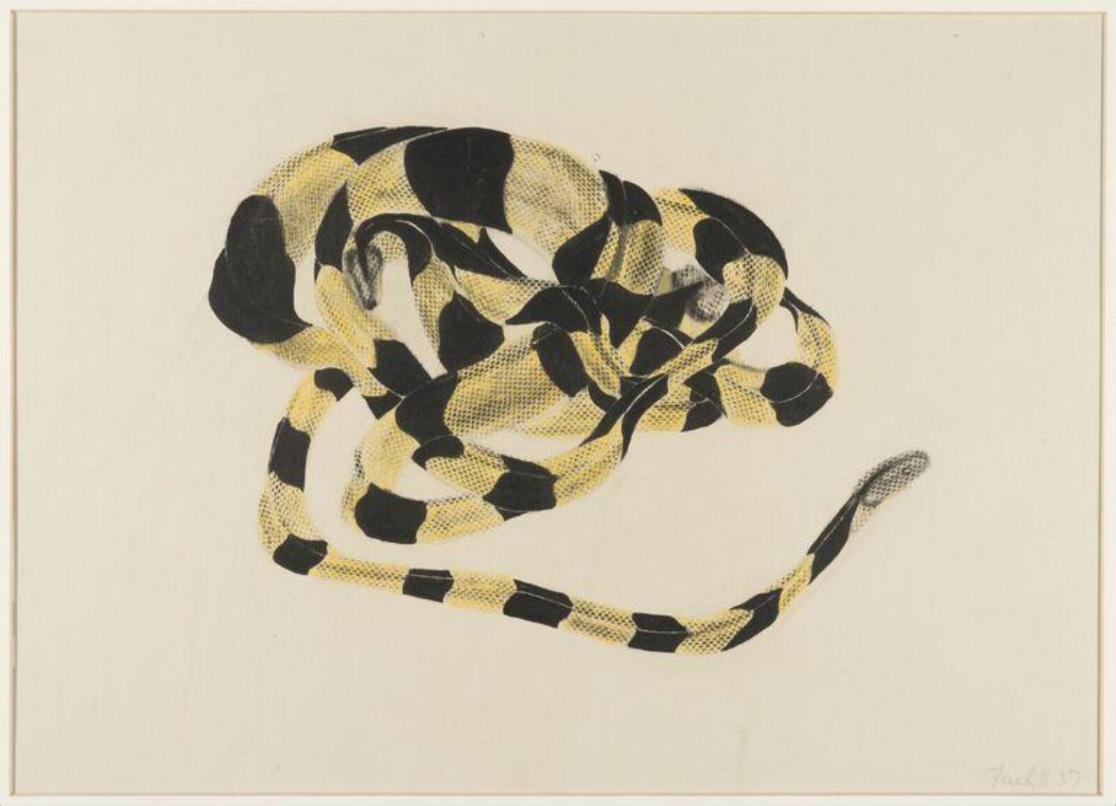 Snakes, Ferelyth Willis Howard, 1937