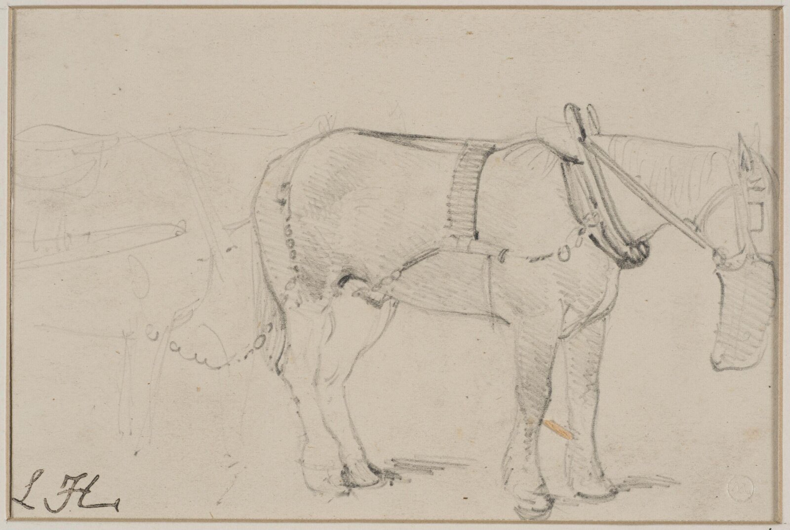 Drawing