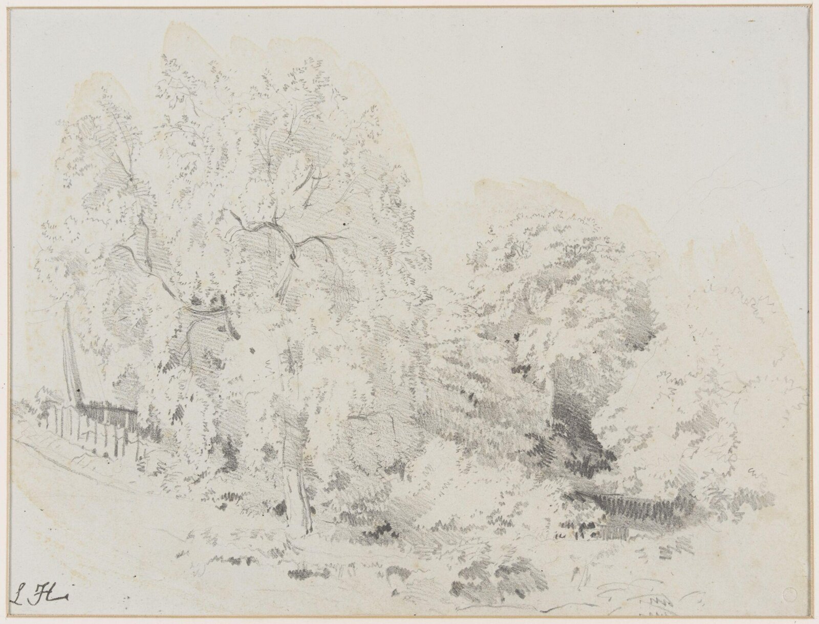 Drawing