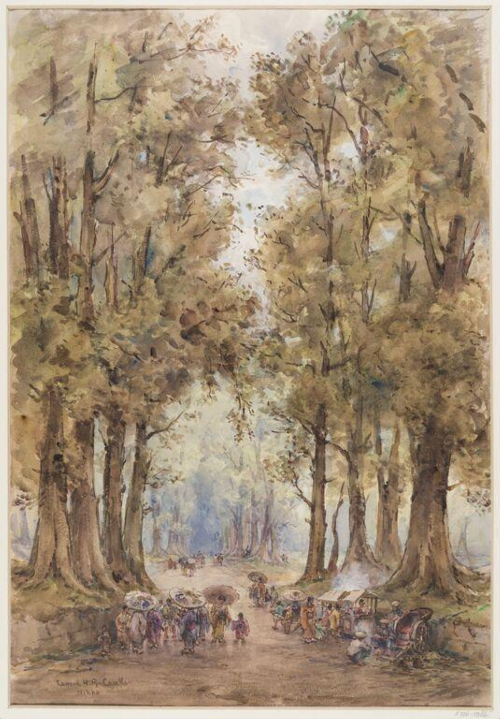 Great Criptomeria Avenue, Nikko, Japan, Conrad Hector Raphael Carelli, ca. early 20th century