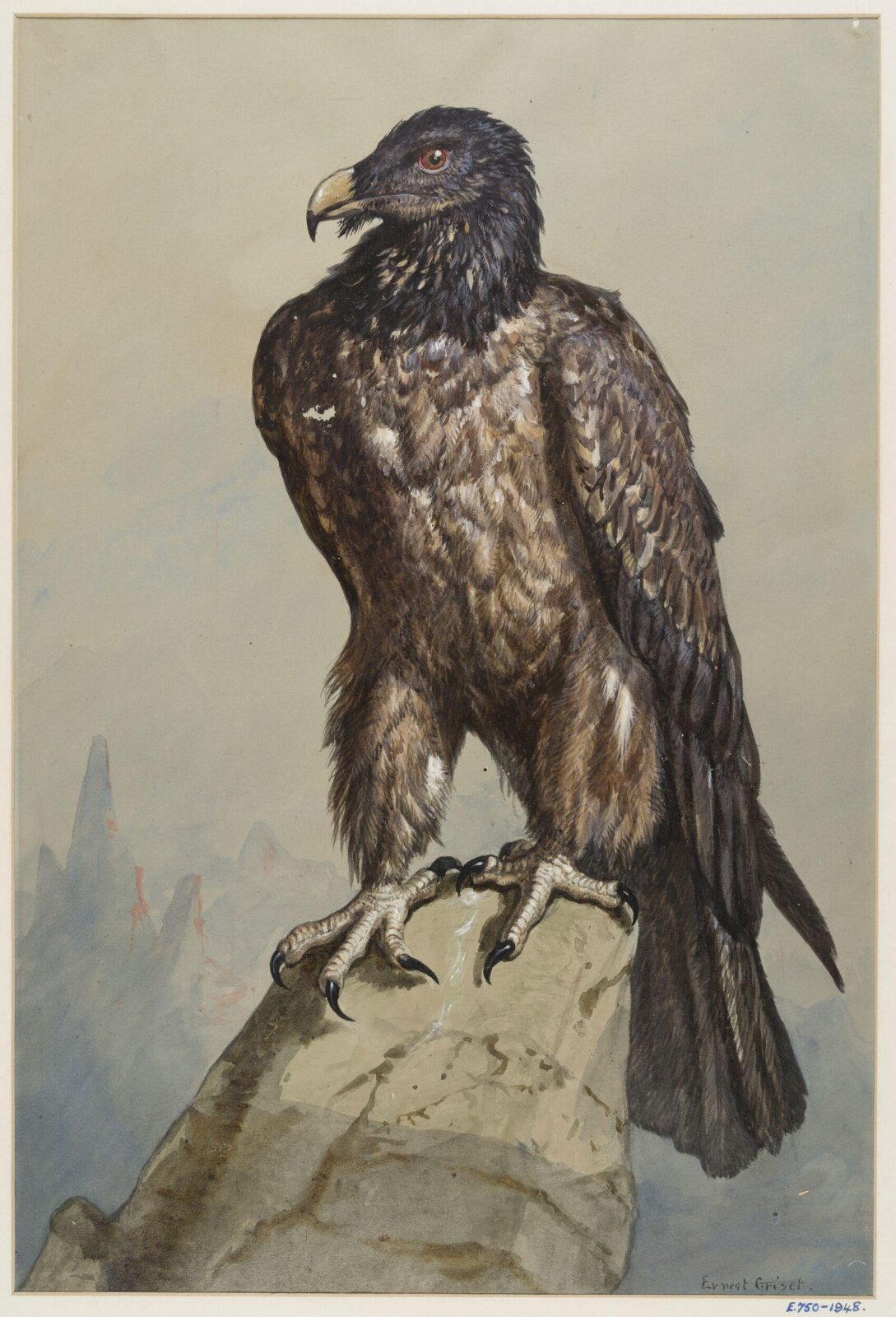Drawing, Ernest Griset, second half of the 19th century
