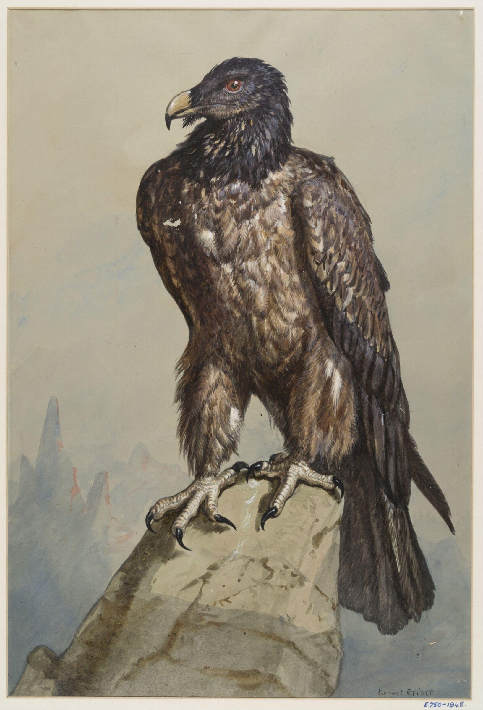 Drawing, Ernest Griset, second half of the 19th century