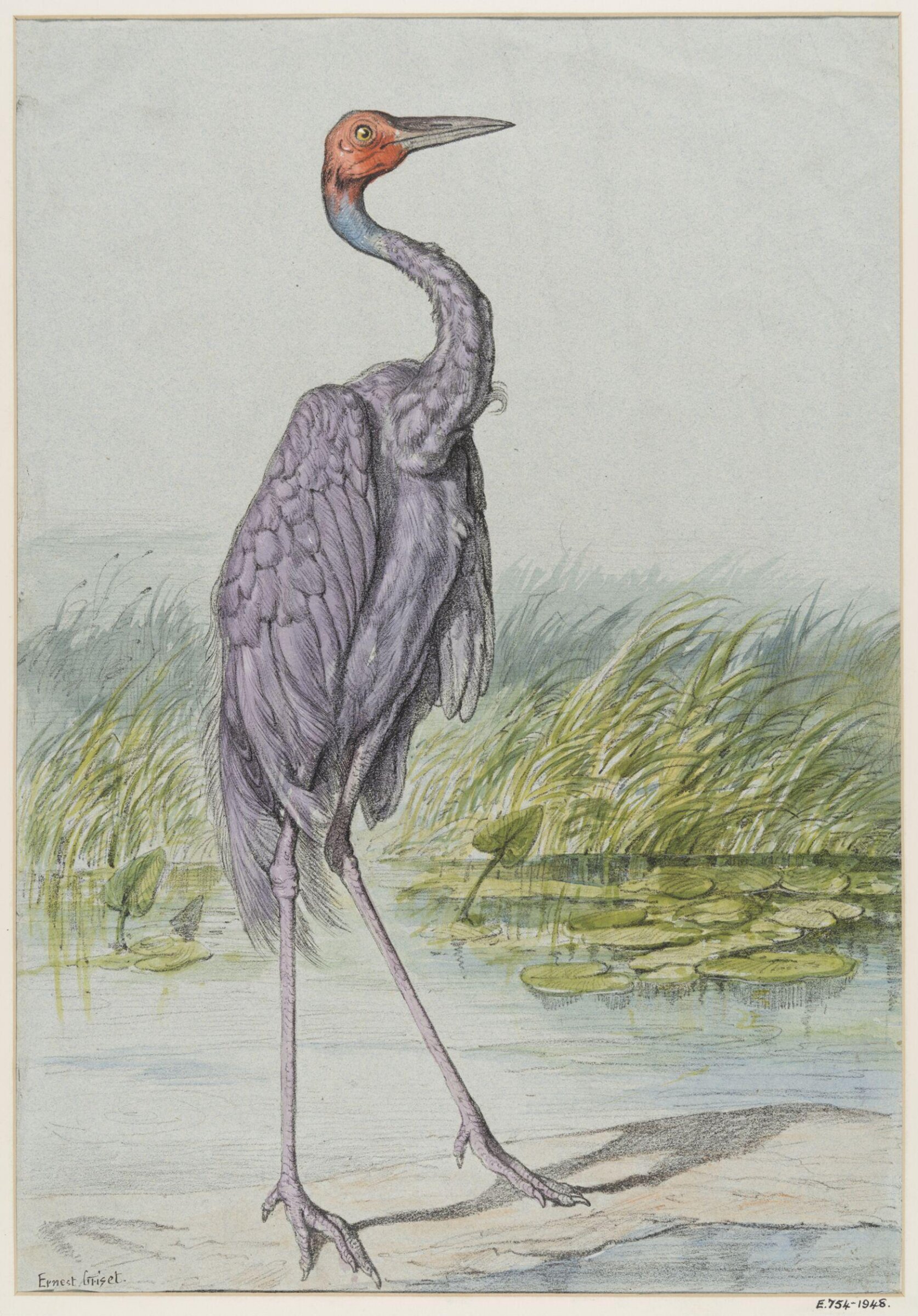 Drawing, Ernest Griset, second half of the 19th century