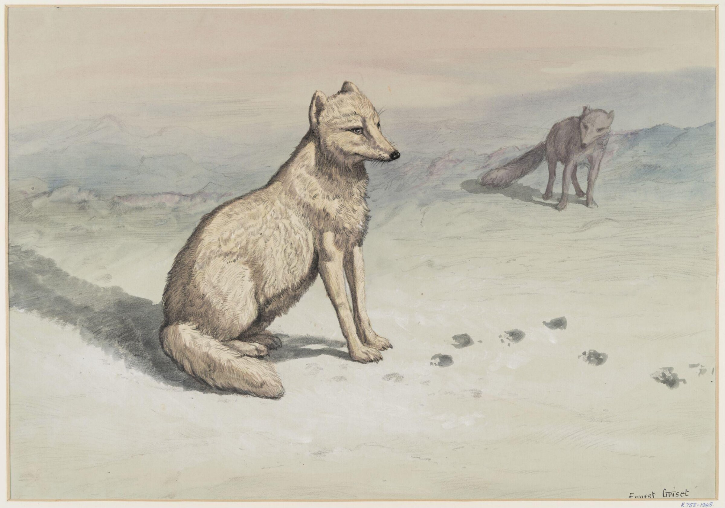 Drawing, Ernest Griset, second half of the 19th century