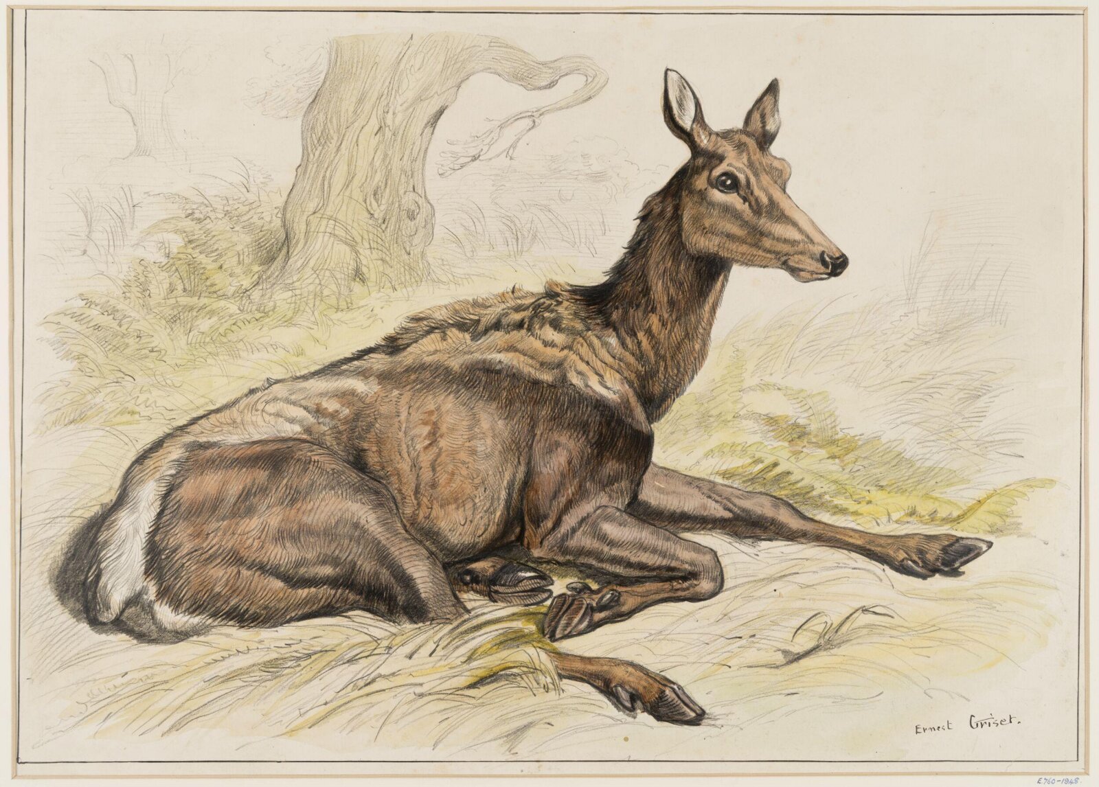 Deer, Ernest Griset, second half 19th century