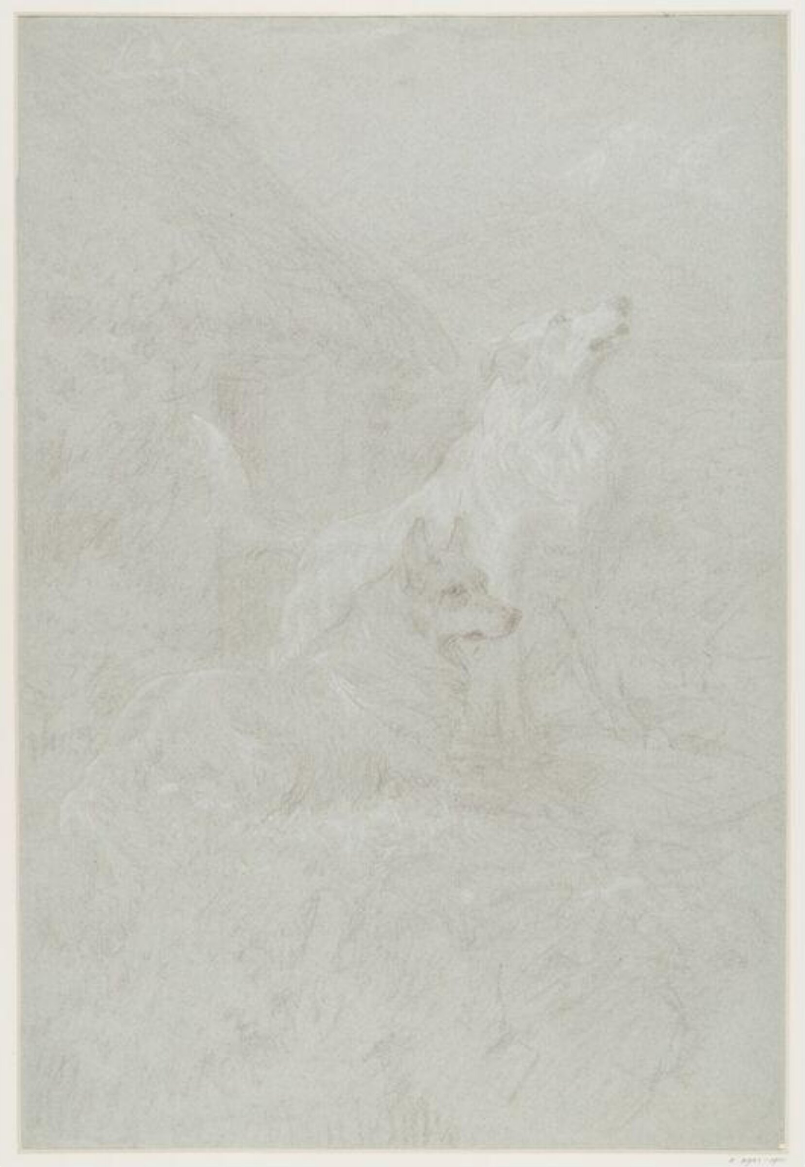Drawing, Basil Bradley, ca. late 19th century