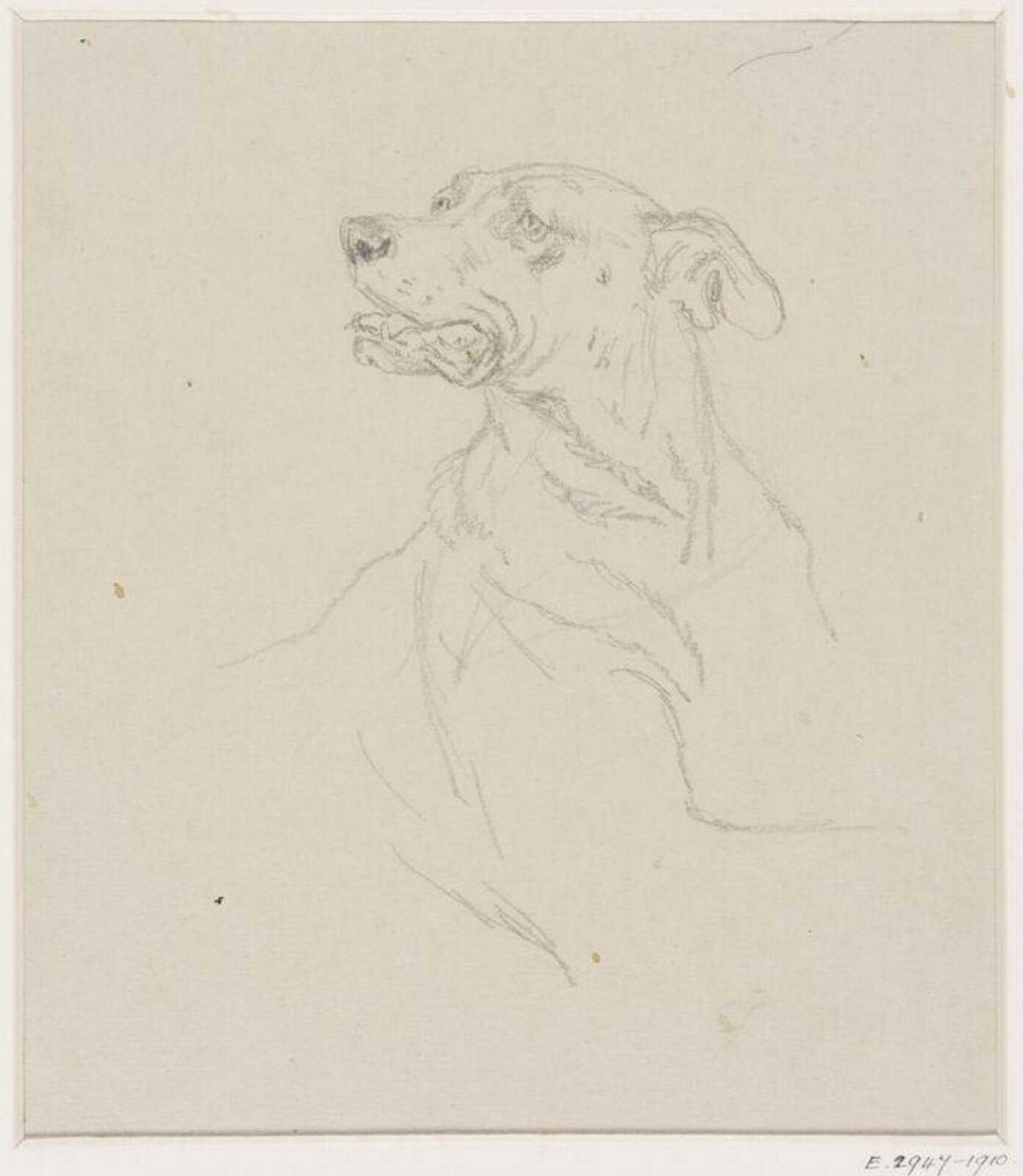 Drawing, Basil Bradley, ca. late 19th century