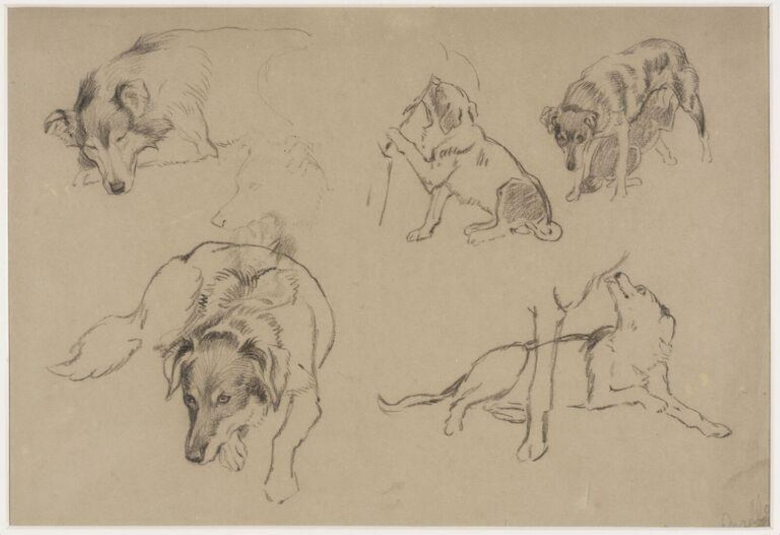 Drawing, Basil Bradley, ca. late 19th century