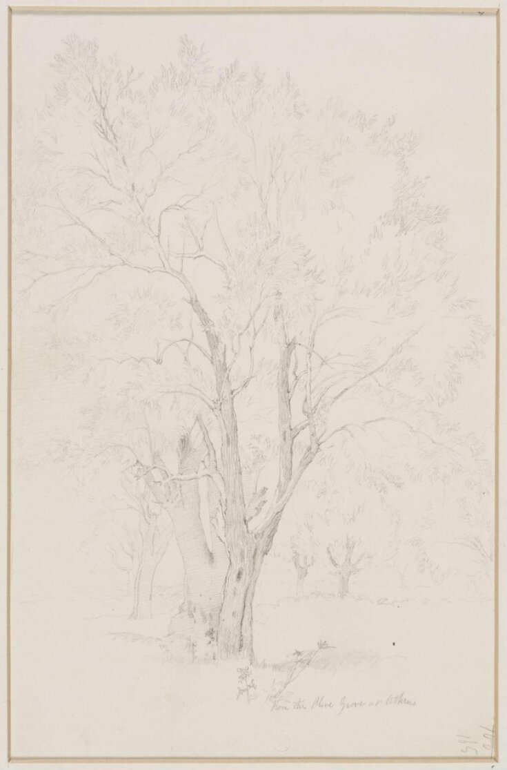 From the olive grove at Athens Dadd, Richard V&A Explore The