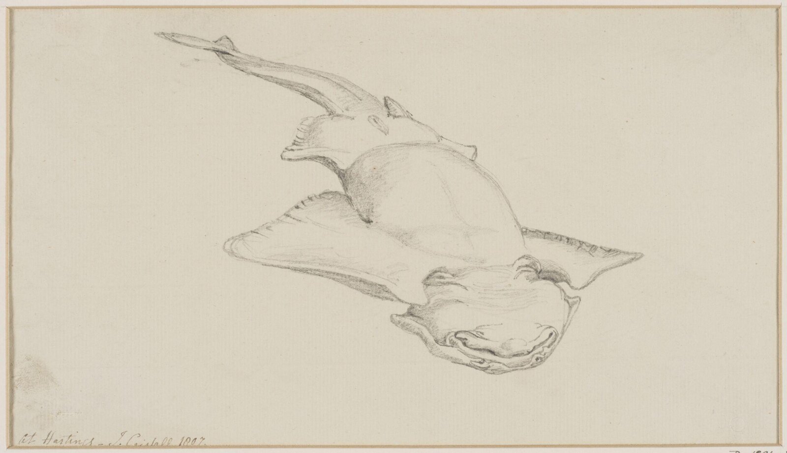Drawing