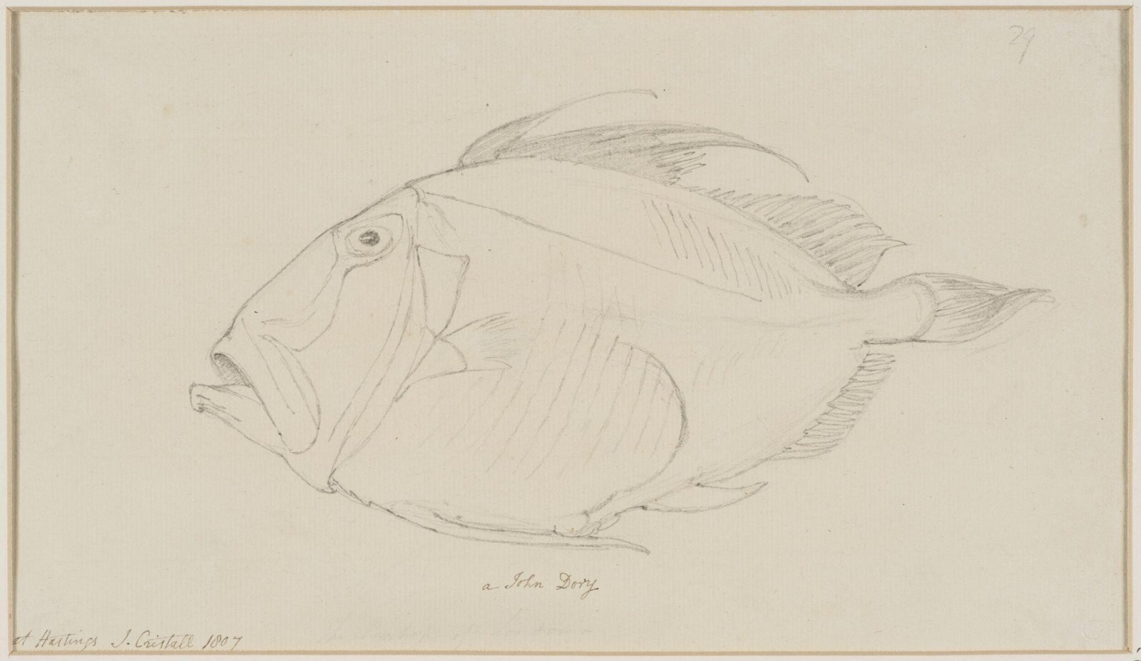 Drawing