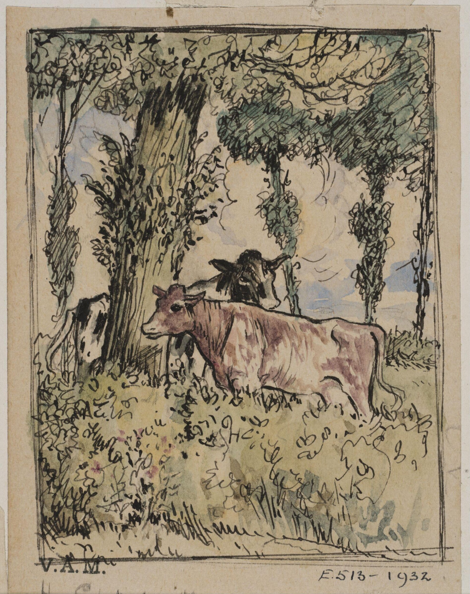 Animals drawn from memory, Herbert Cole, ca. 1890-1929