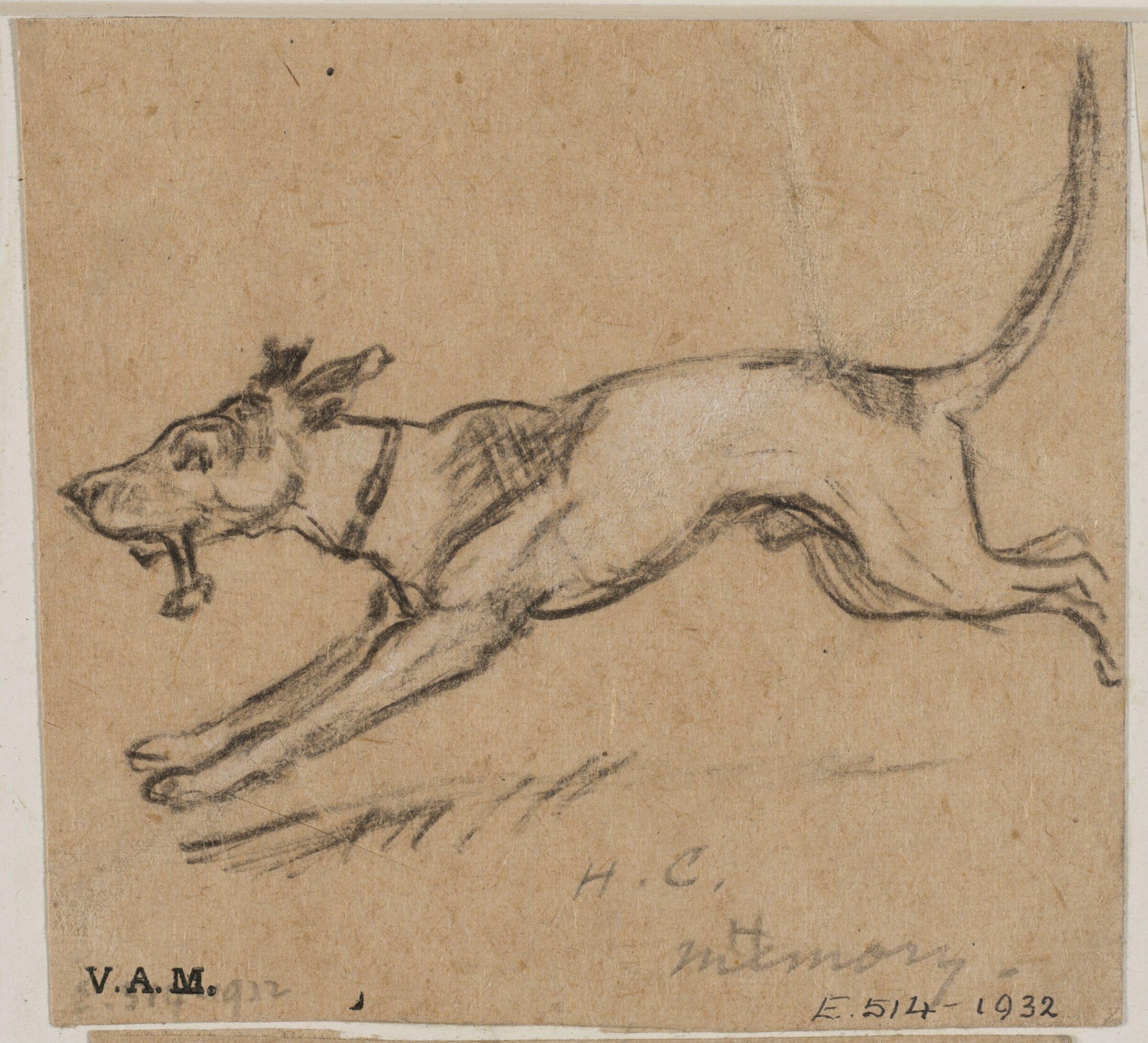 Animals drawn from memory, Herbert Cole, ca. 1890-1929