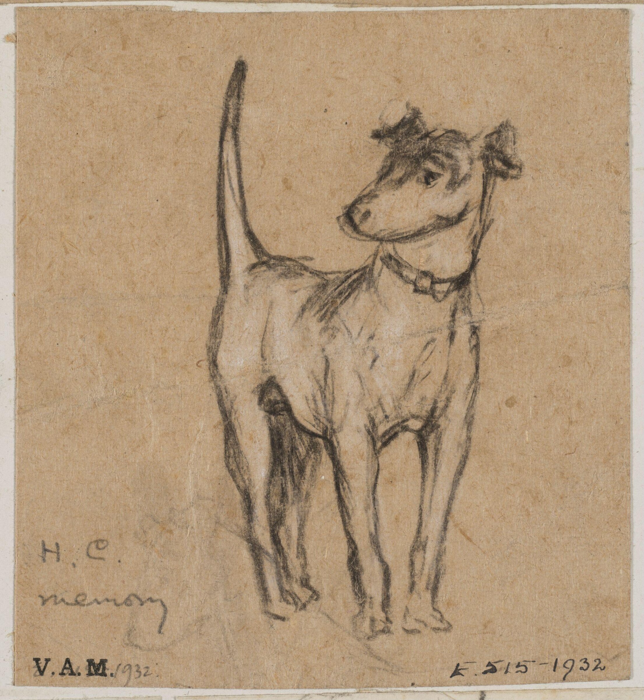 Animals drawn from memory, Herbert Cole, ca. 1890-1929