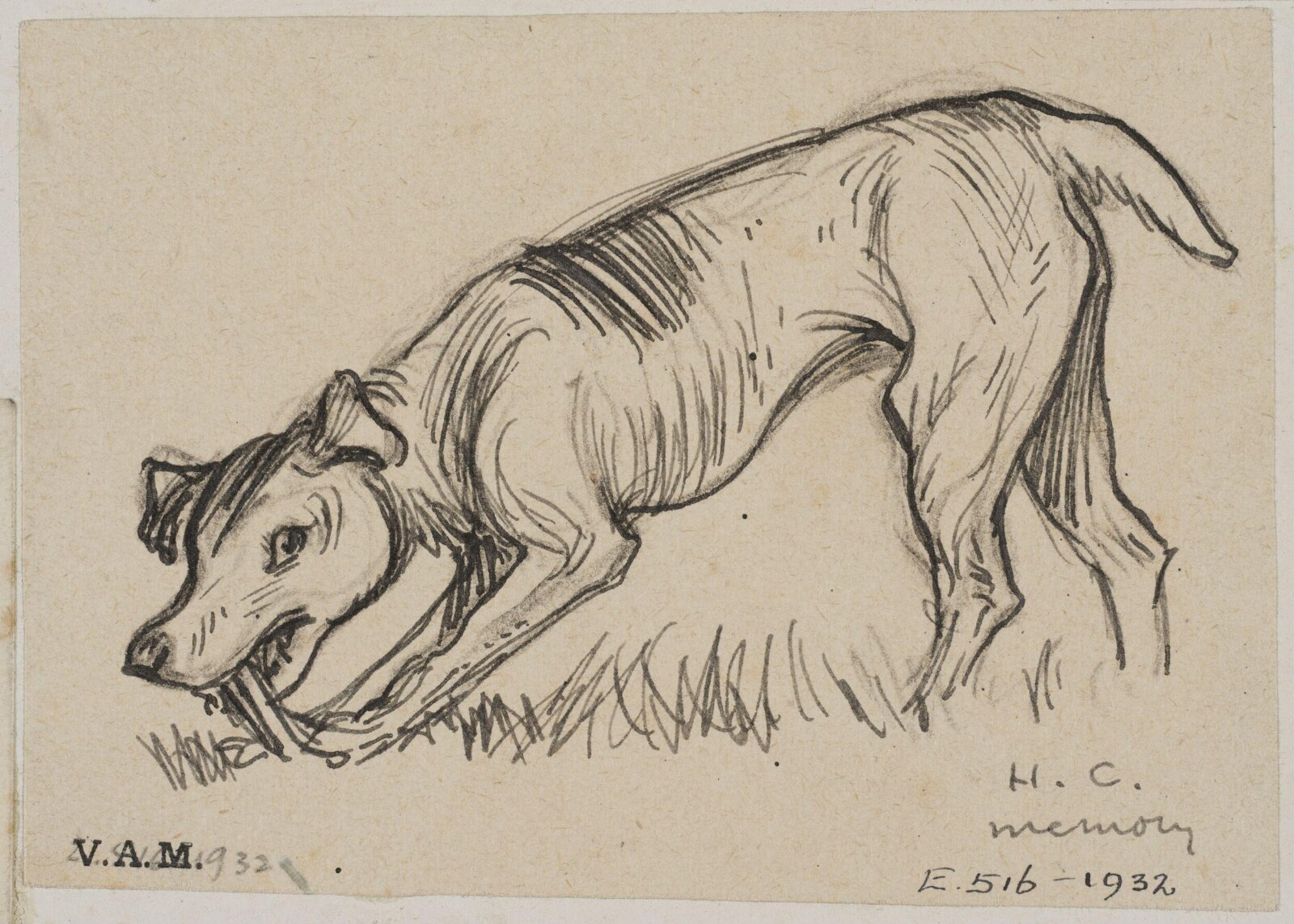 Animals drawn from memory, Herbert Cole, ca. 1890-1929