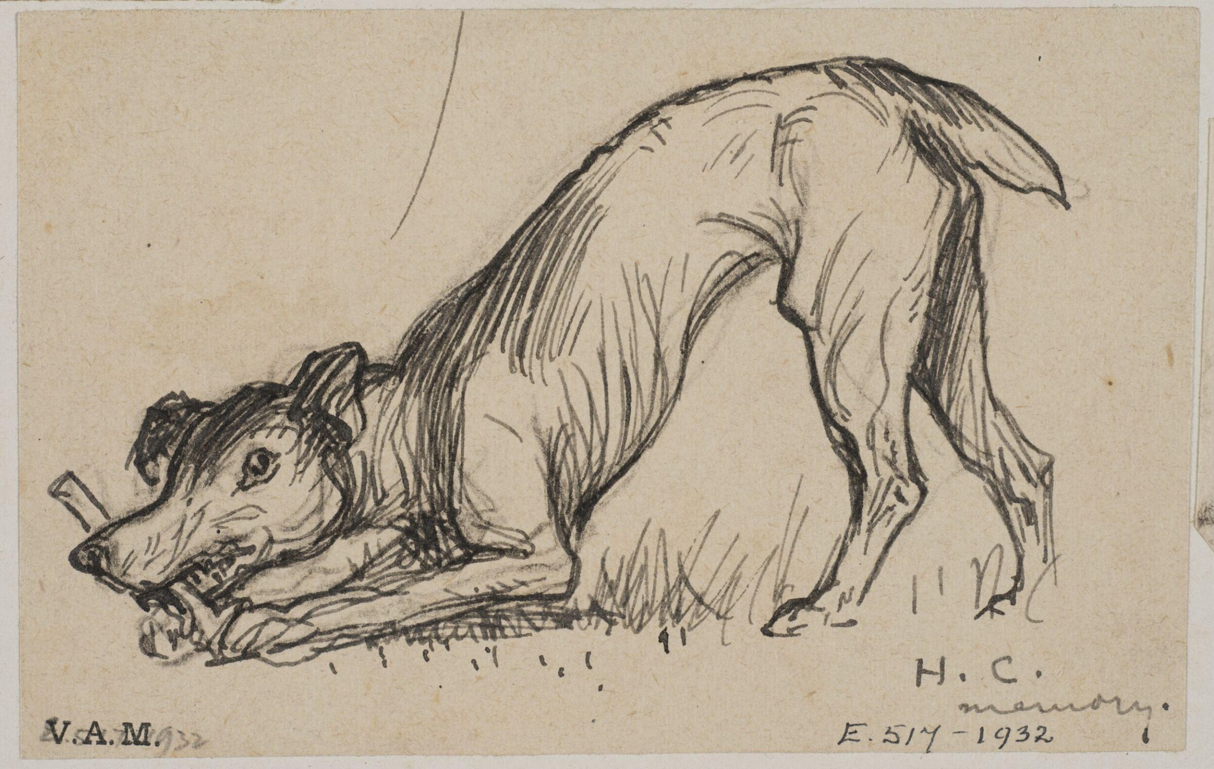 Animals drawn from memory, Herbert Cole, ca. 1890-1929