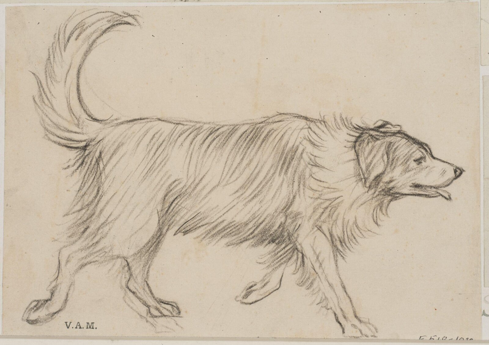 Animals drawn from memory, Herbert Cole, ca. 1890-1929