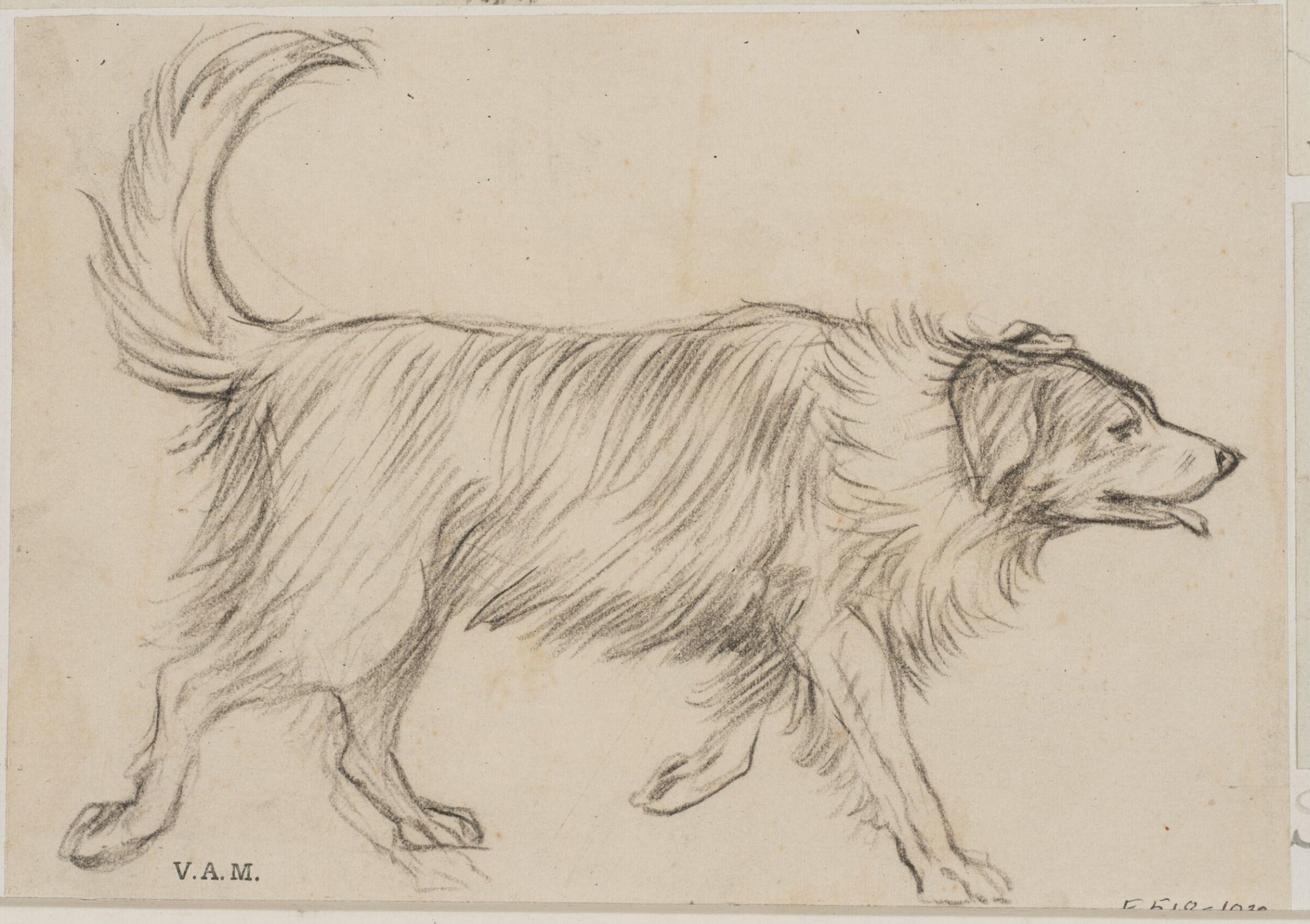 Animals drawn from memory, Herbert Cole, ca. 1890-1929