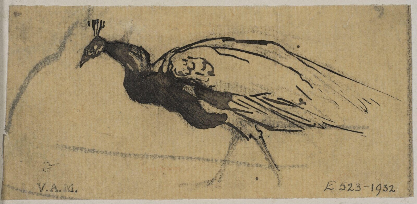Animals drawn from memory, Herbert Cole, ca. 1890-1929