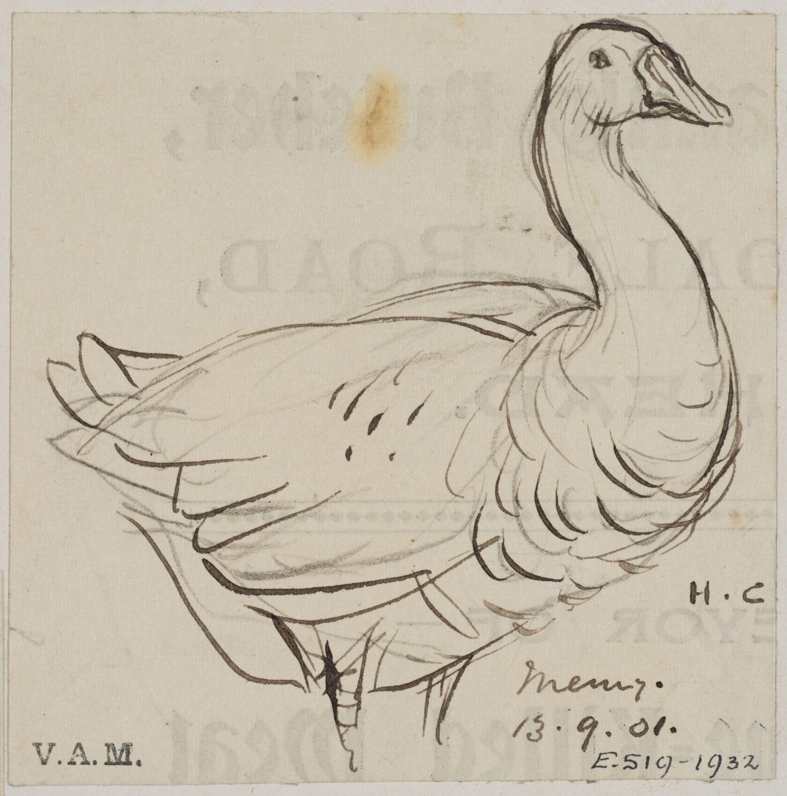 Animals drawn from memory, Herbert Cole, ca. 1890-1929