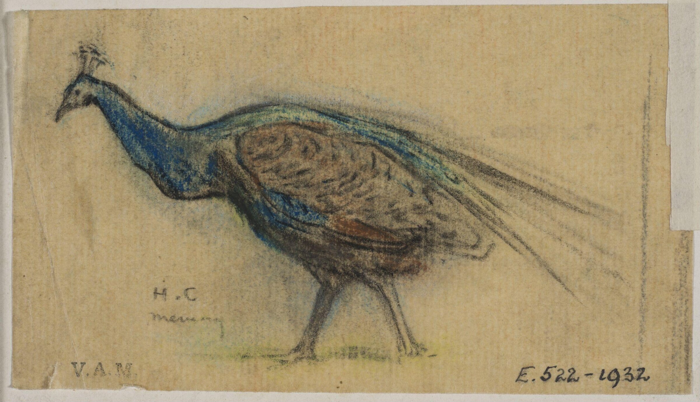Animals drawn from memory, Herbert Cole, ca. 1890-1929