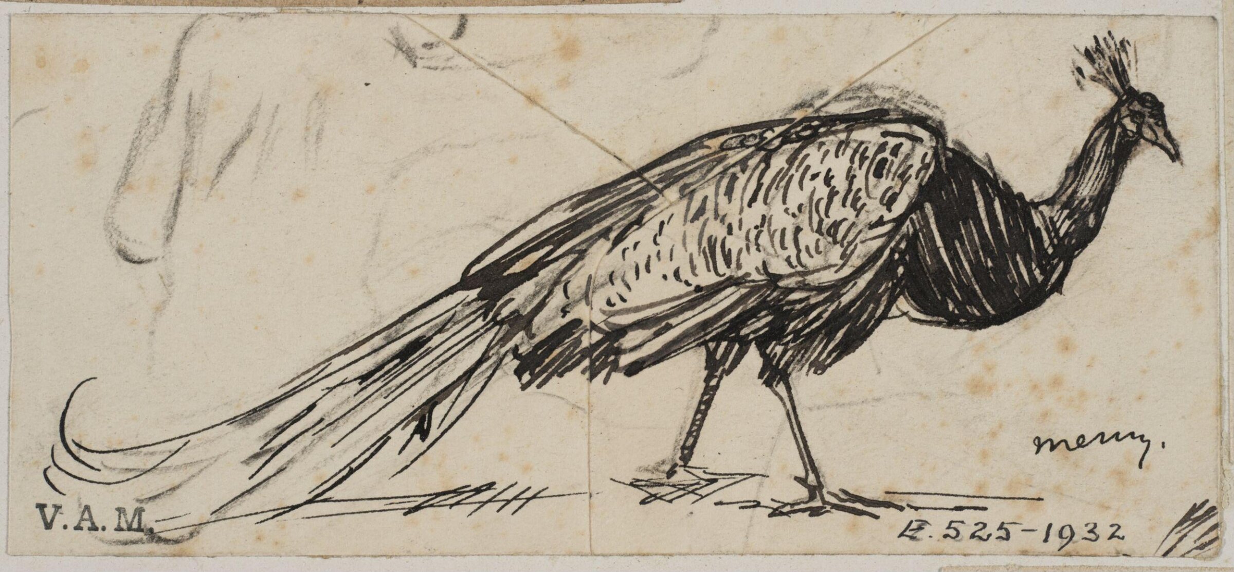 Animals drawn from memory, Herbert Cole, ca. 1890-1929