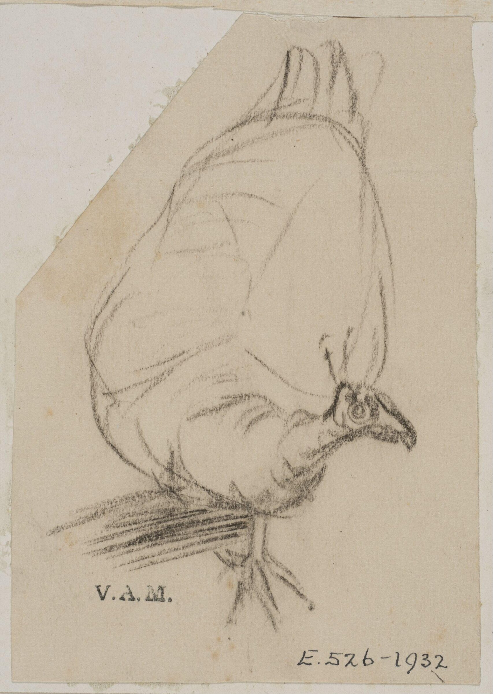 Animals drawn from memory, Herbert Cole, ca. 1890-1929