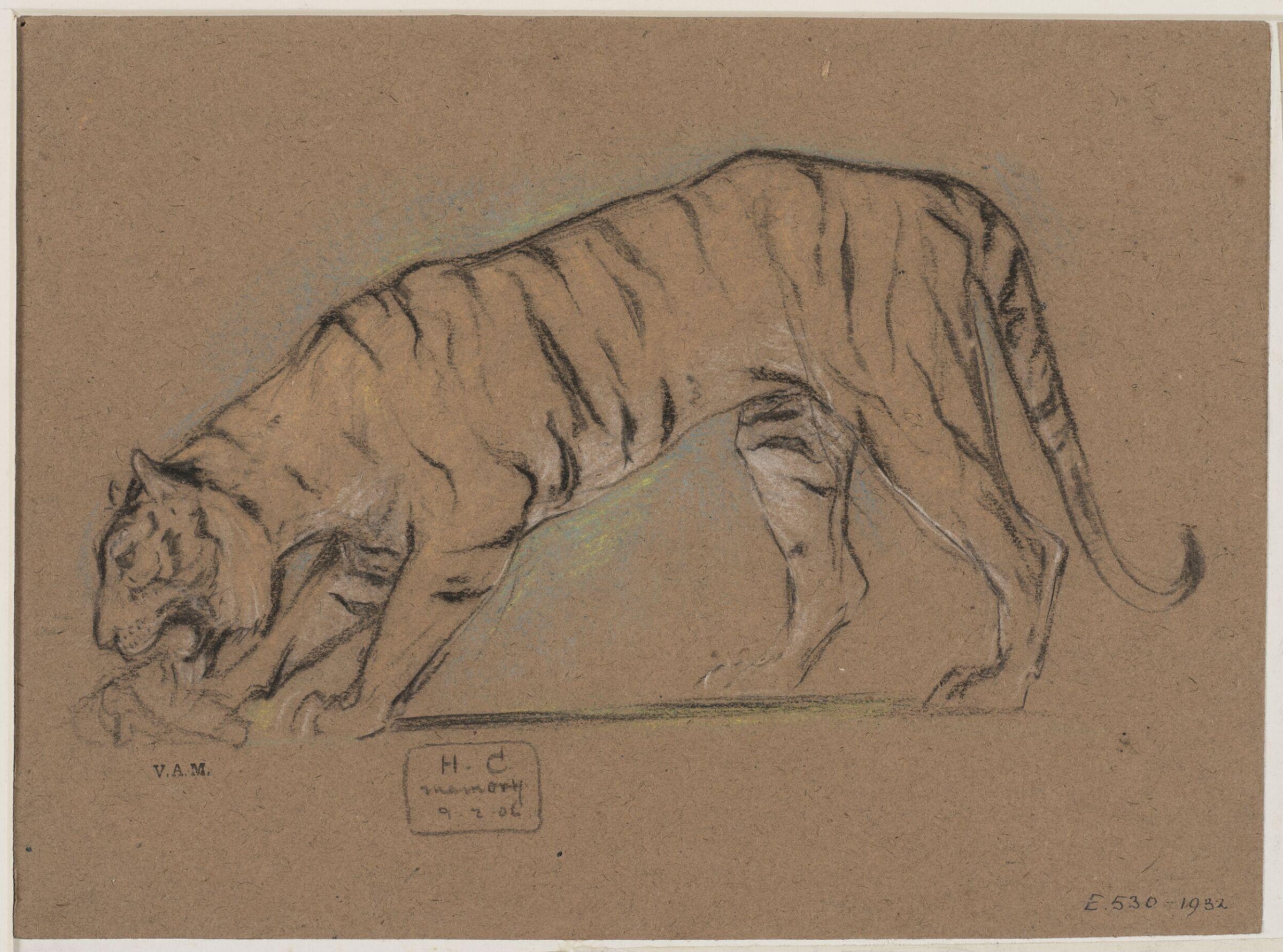 Animals drawn from memory, Herbert Cole, ca. 1890-1929
