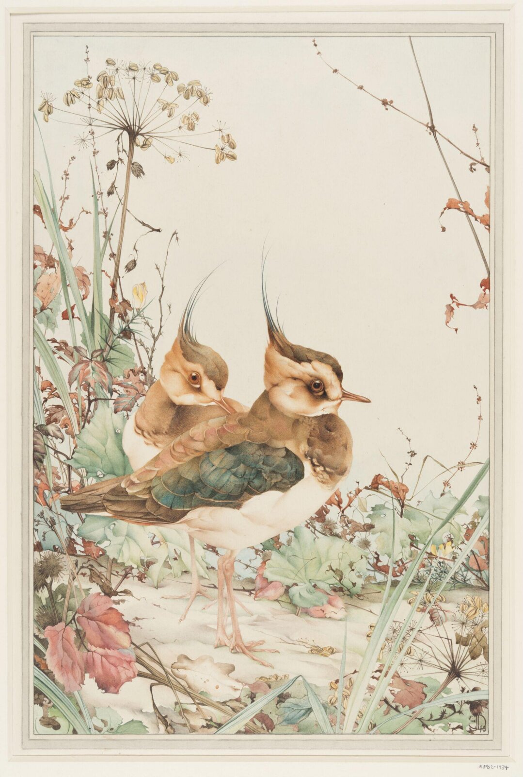 Drawing, Detmold, circa 1910s