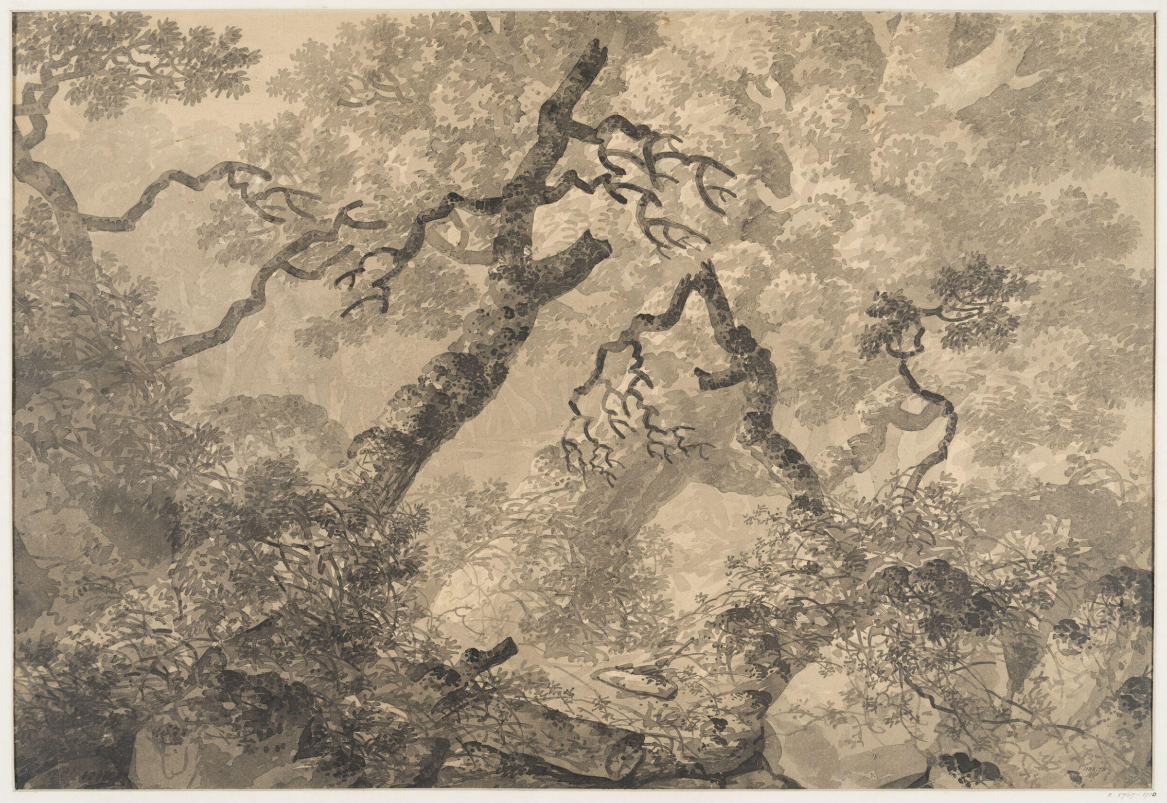 Drawing, John Crome, late 18th century