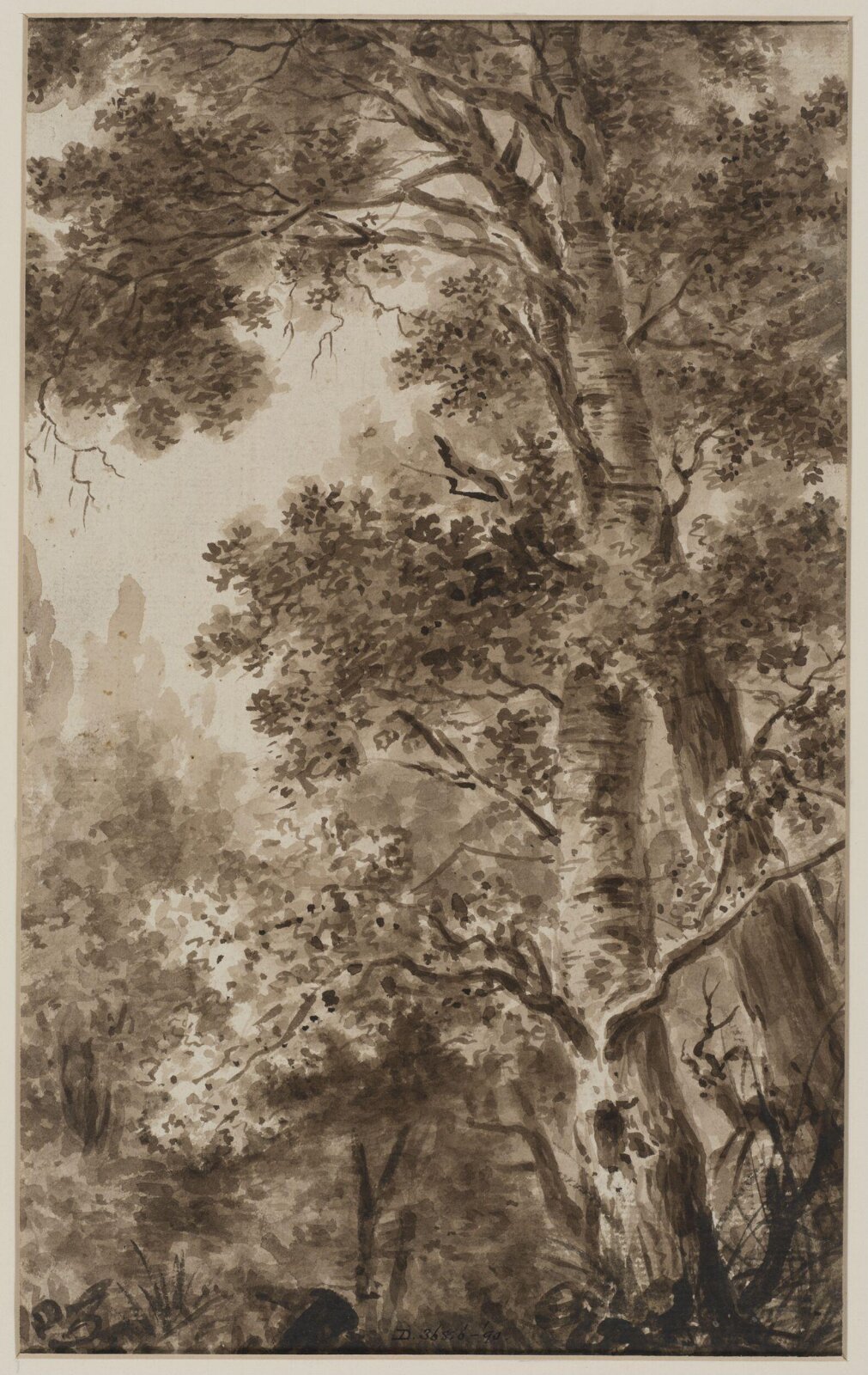 Drawing