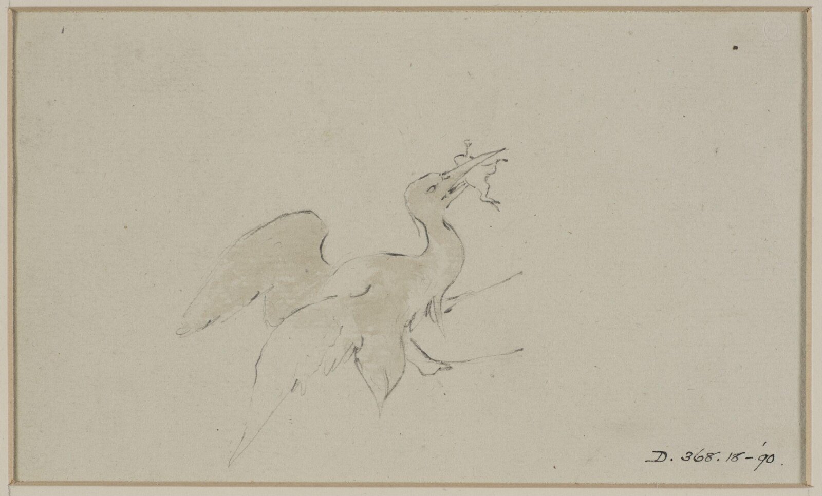 Drawing
