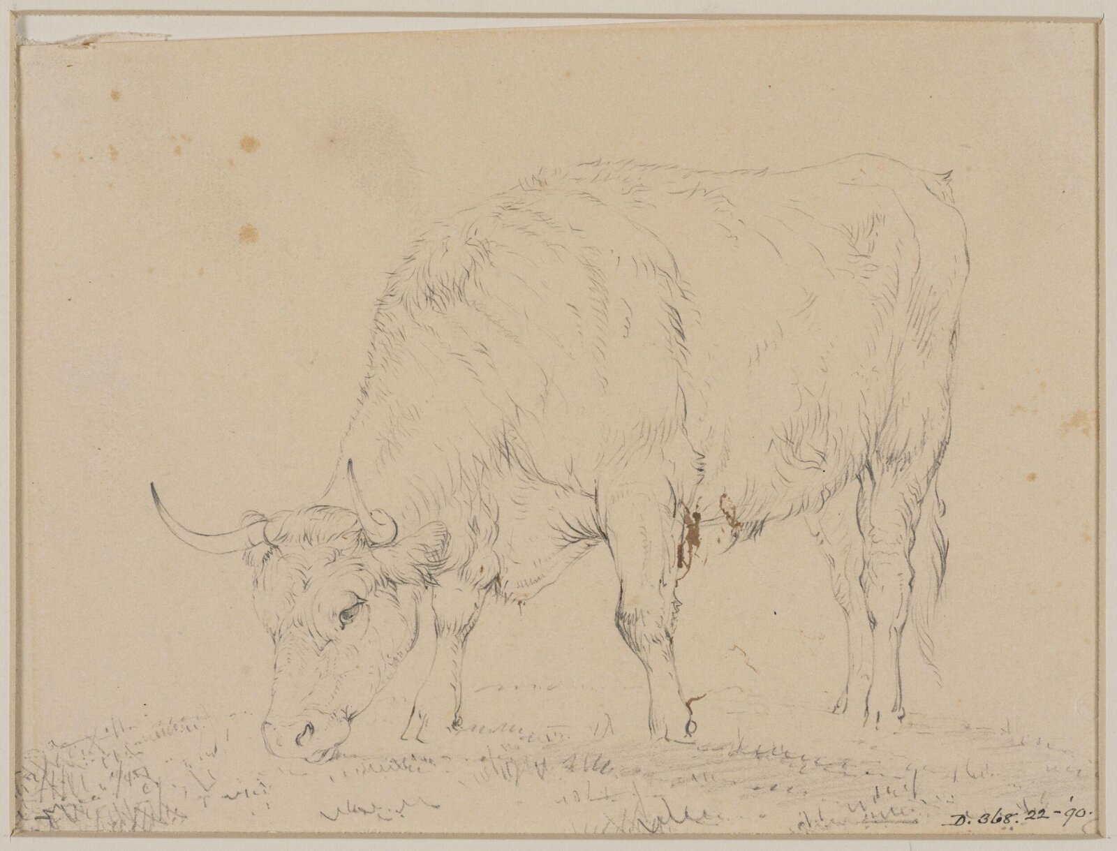 Drawing