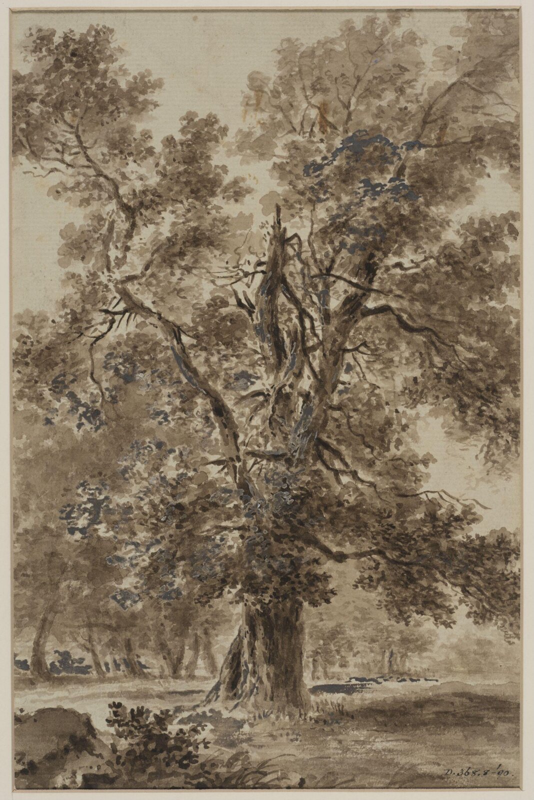 Drawing