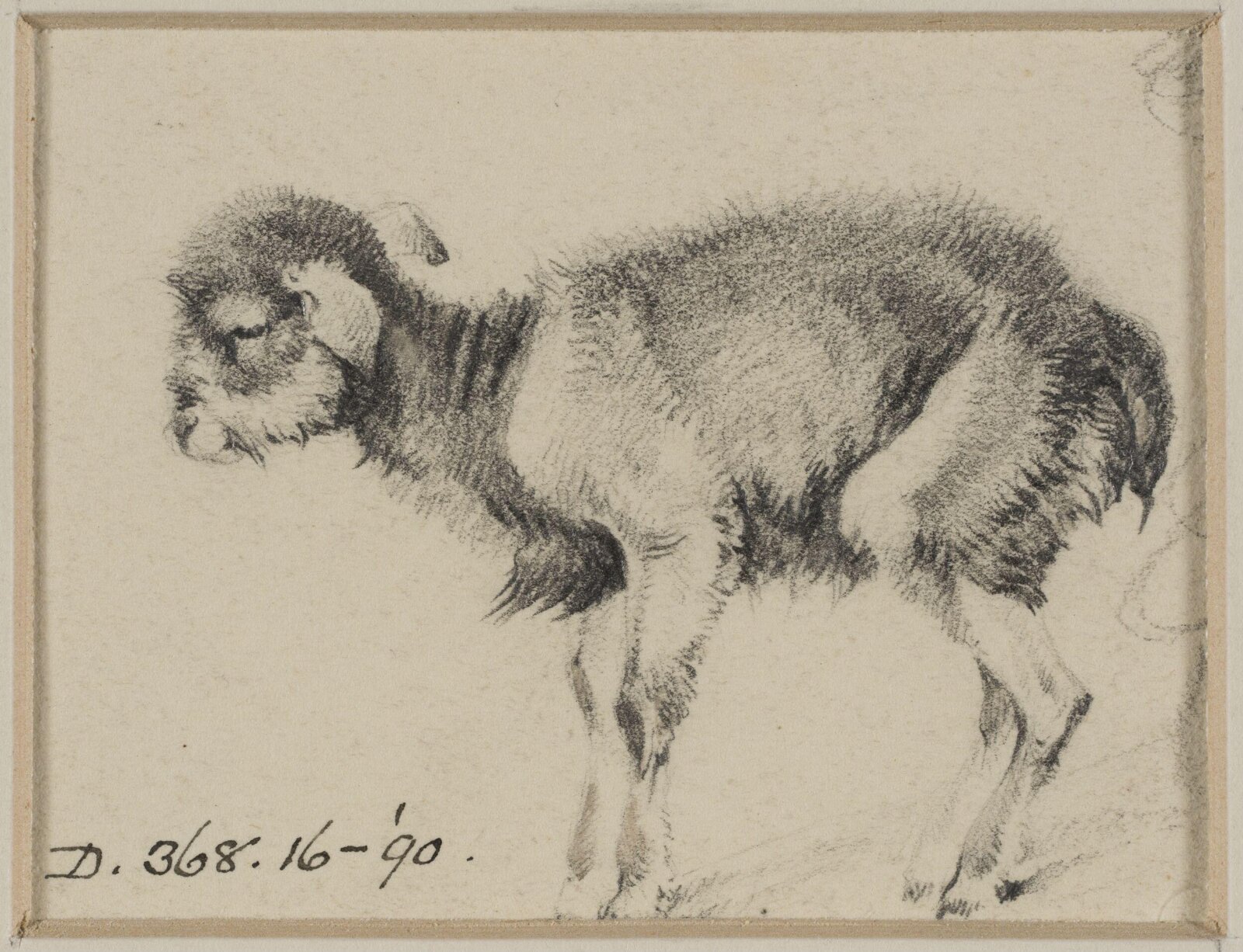 Drawing