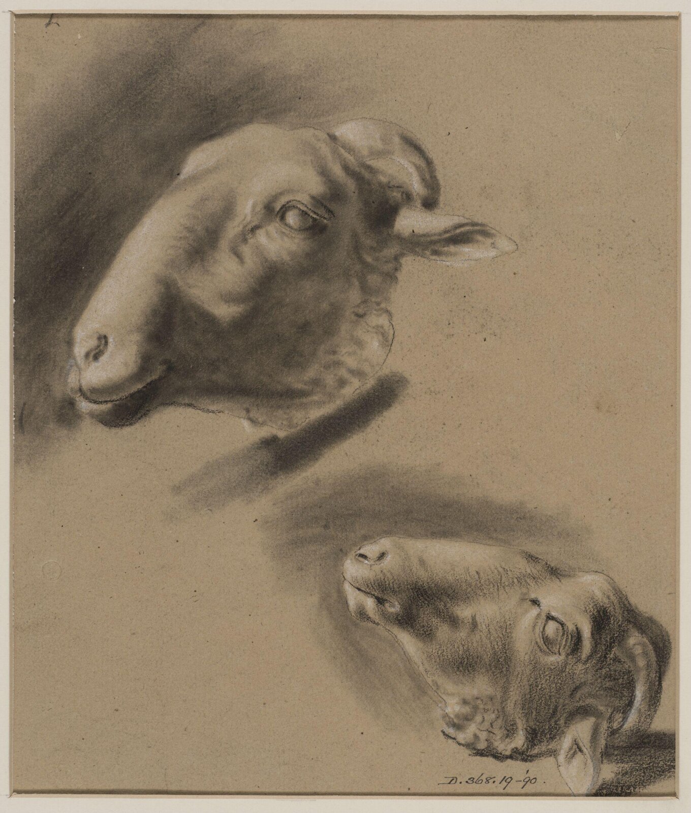 Drawing
