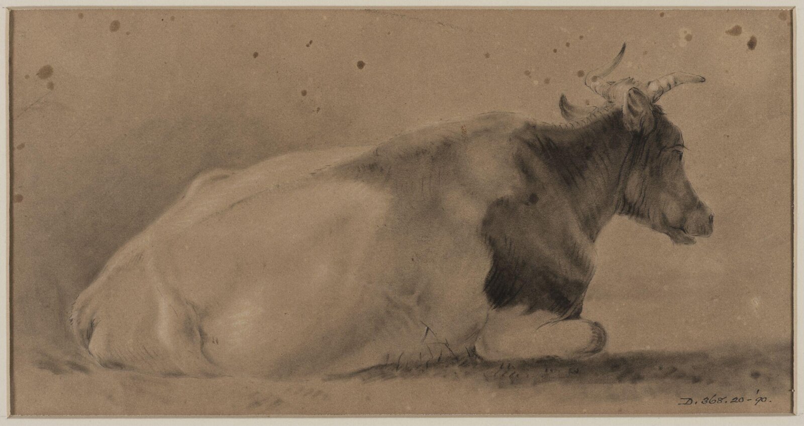 Drawing