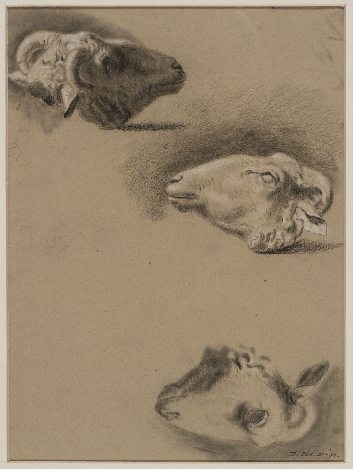 Drawing