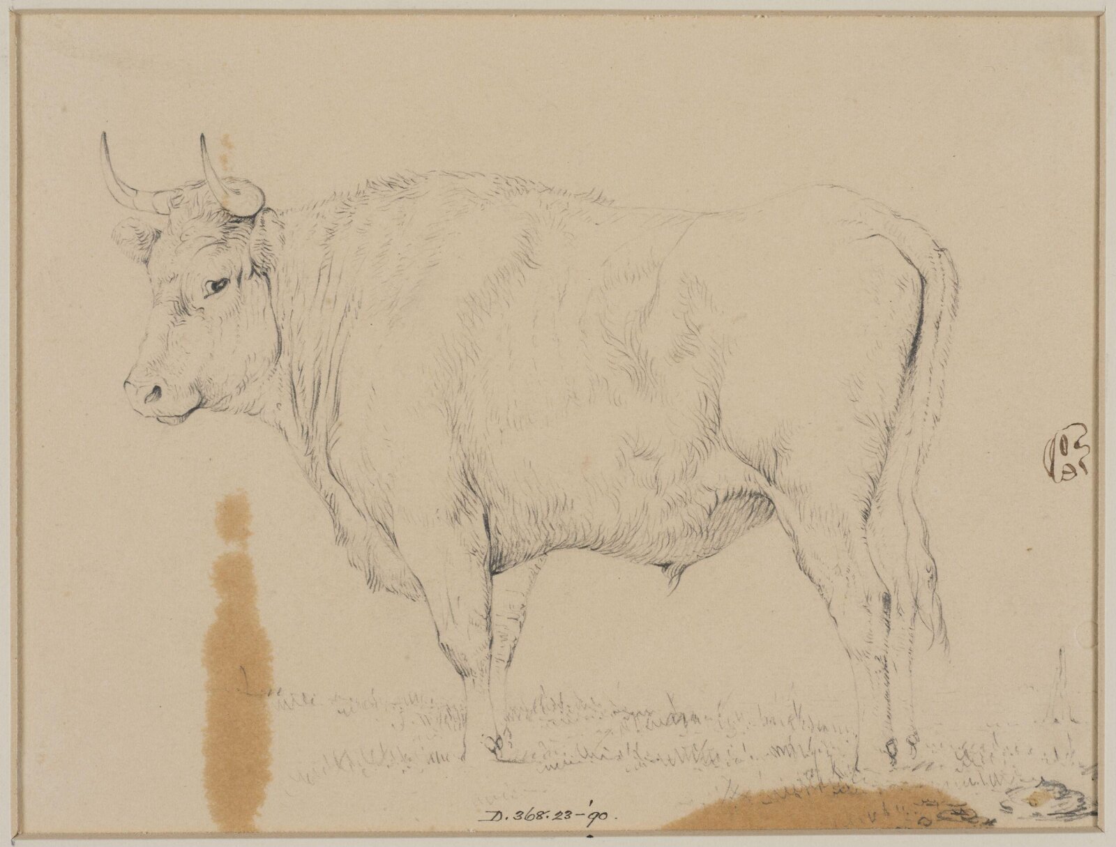 Drawing