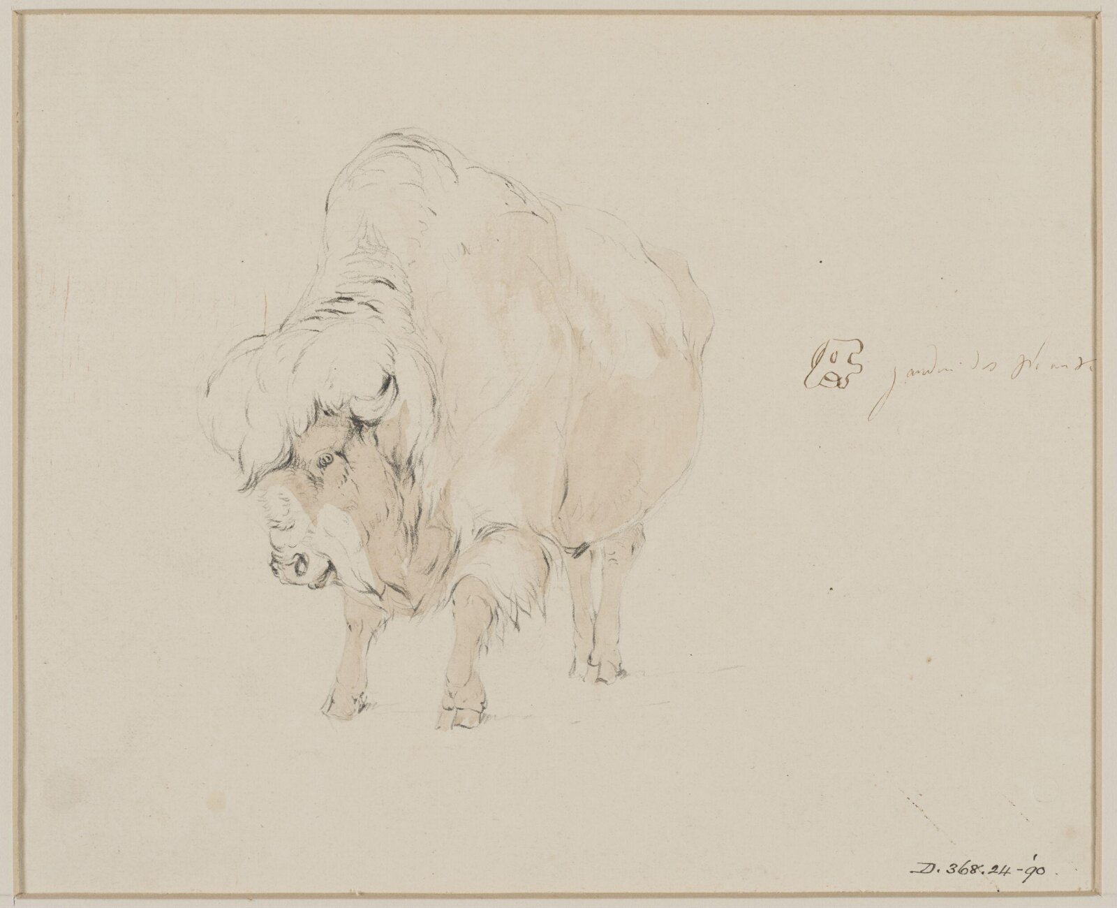 Drawing