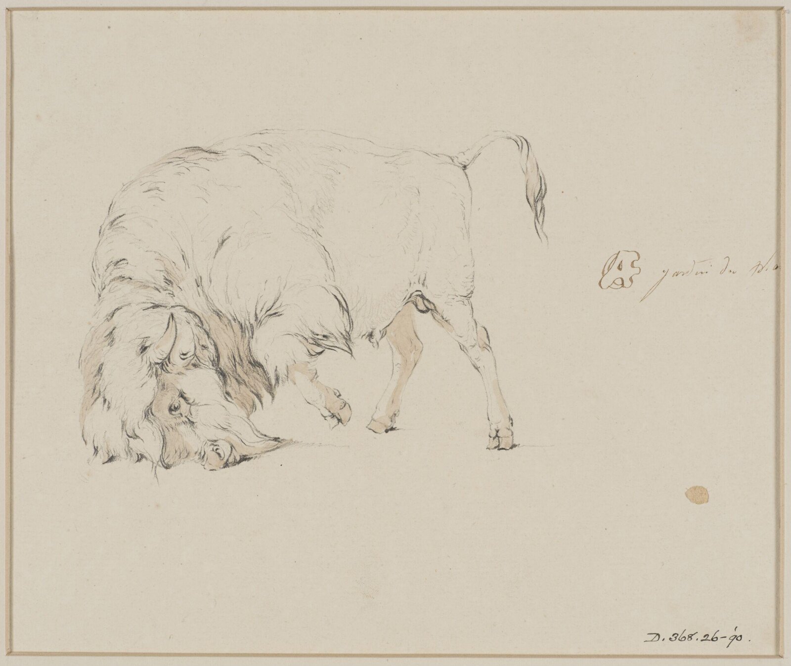 Drawing