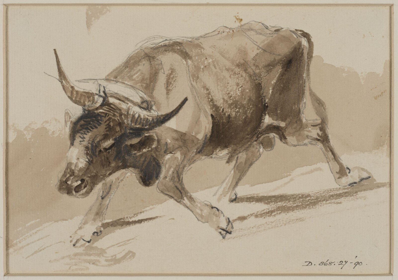 Drawing