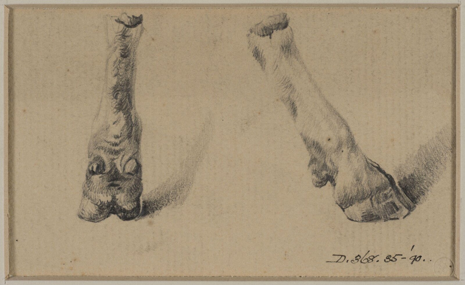 Drawing