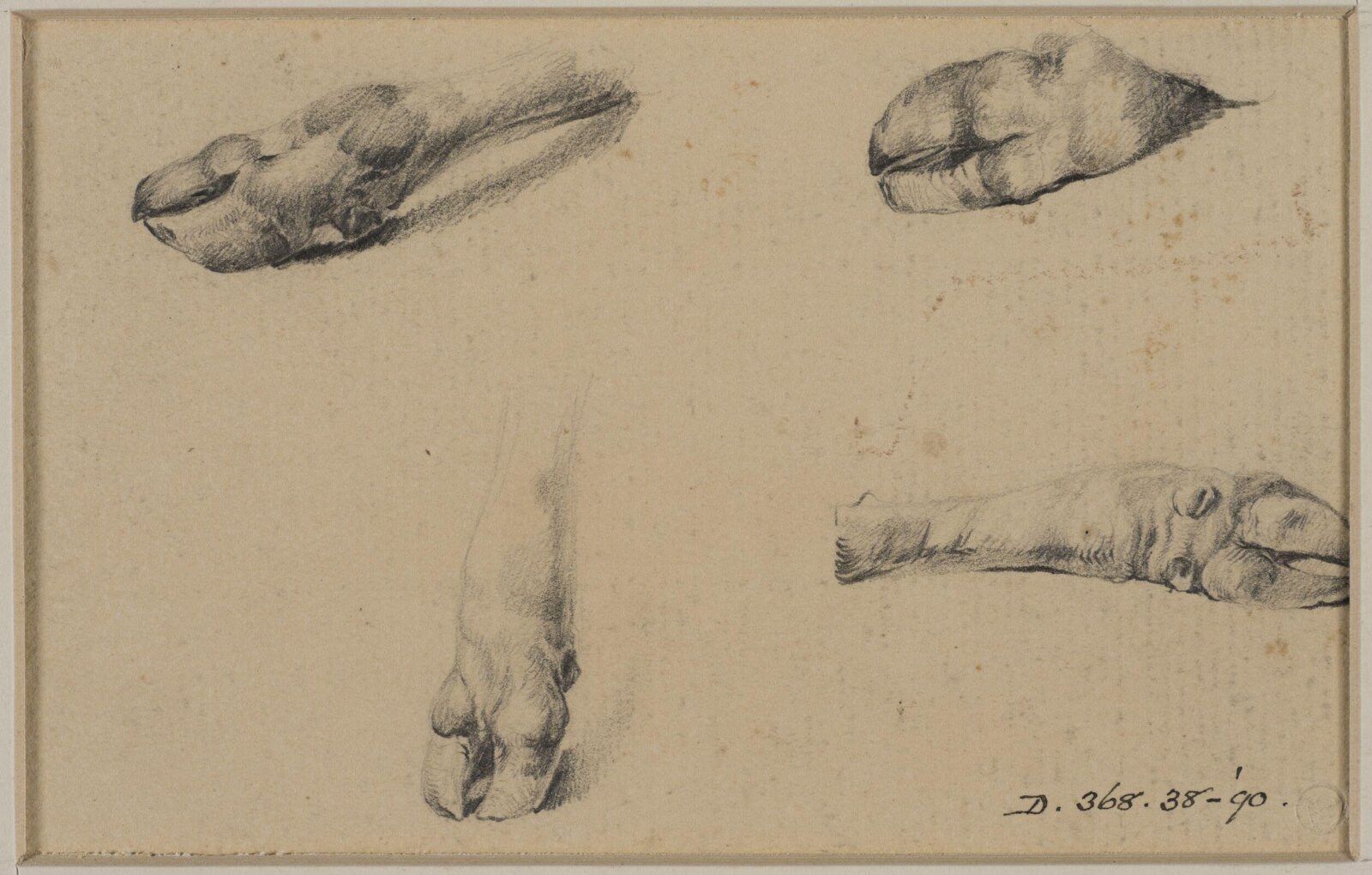 Drawing