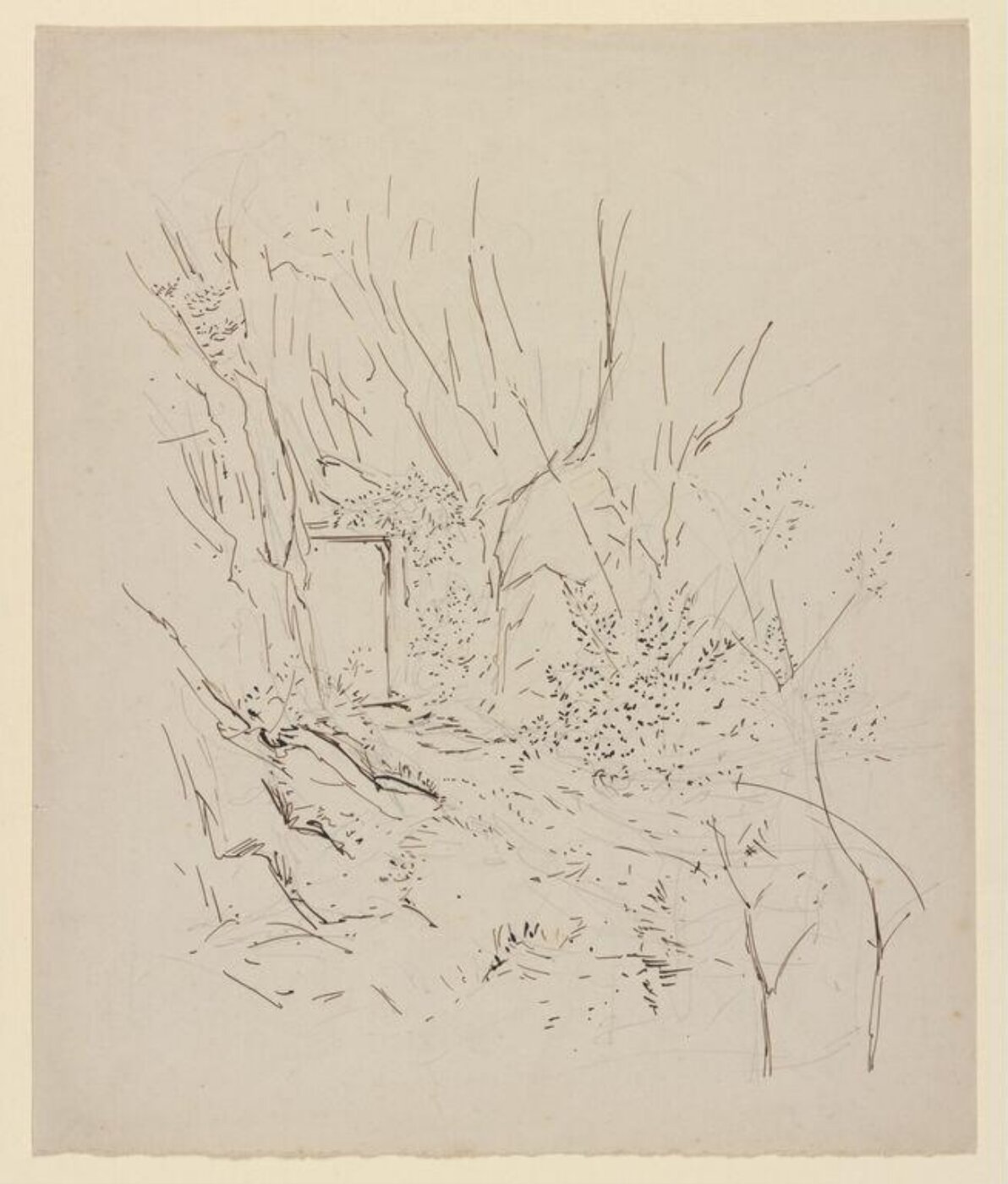 Potter, Beatrix, drawing