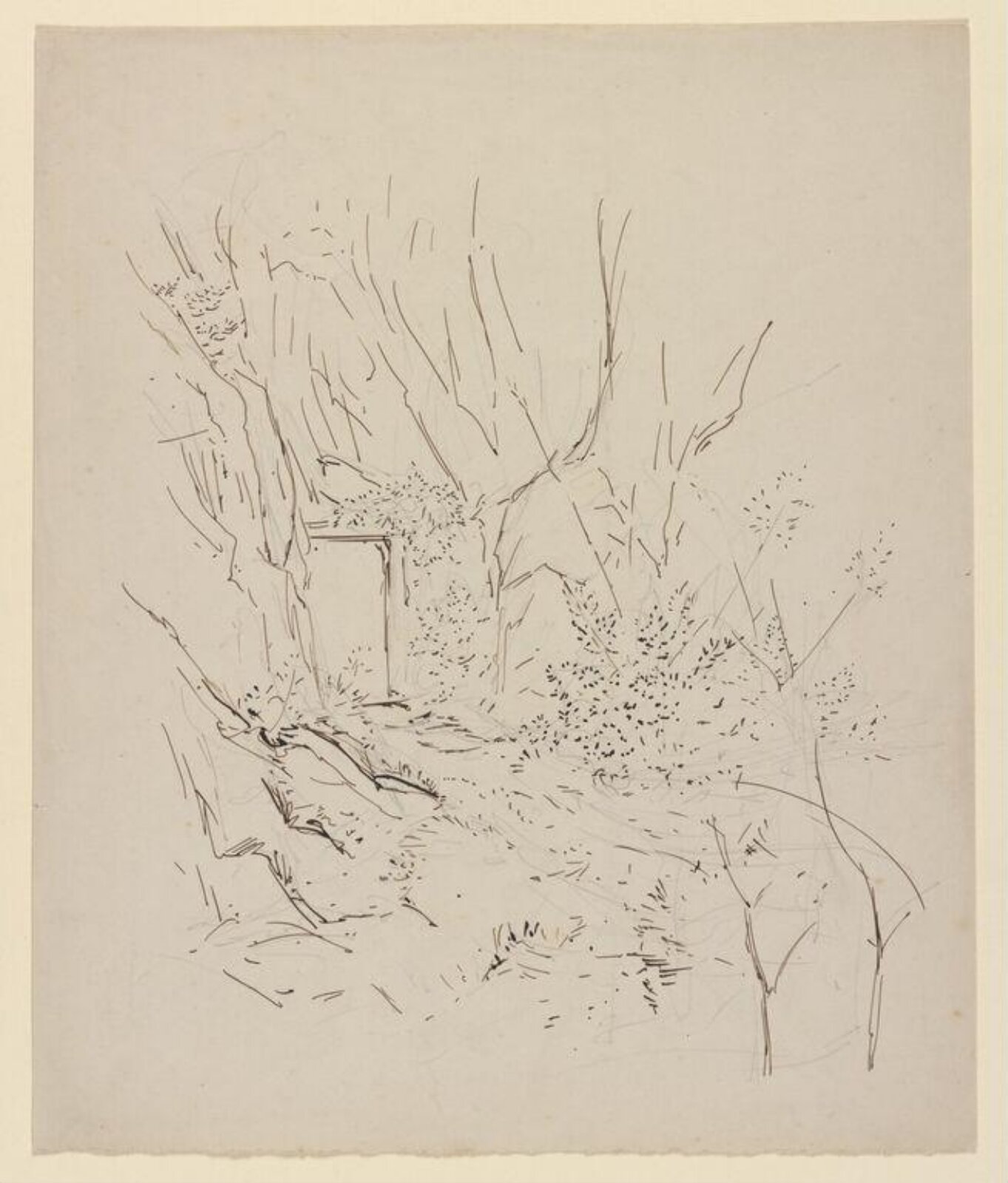 drawing, Beatrix Potter, ca. 1904