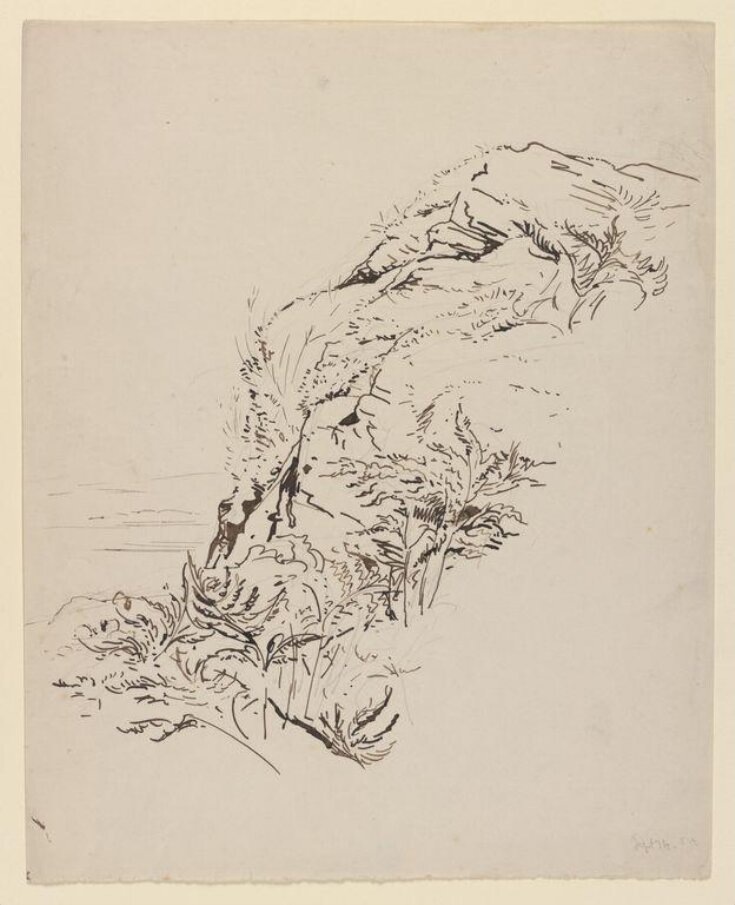 A rocky hillside top image