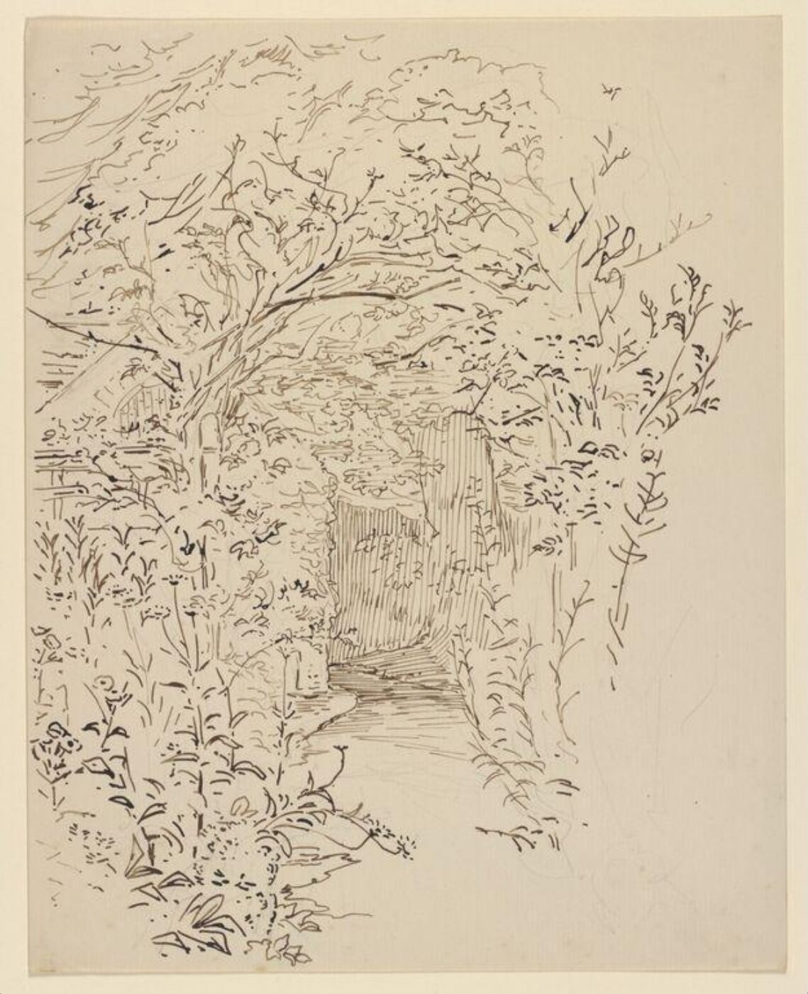 Potter, Beatrix, drawing