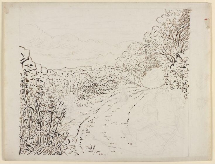 View along a lane bordered by a wall and trees, with rabbits and a boy crying top image