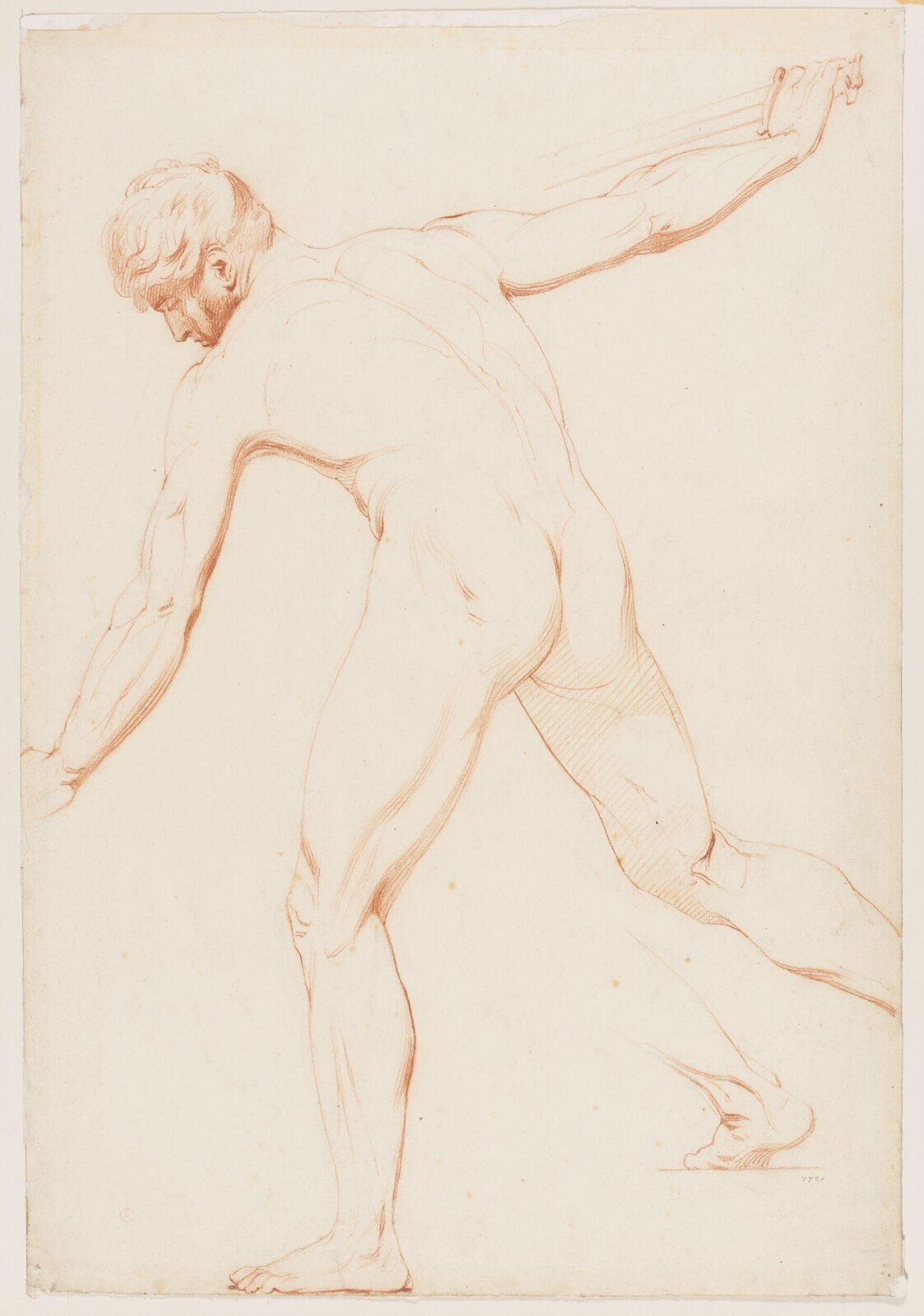Drawing